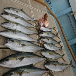 旭星釣りセンター 釣果