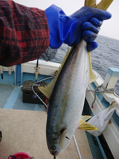 旭星釣りセンター 釣果