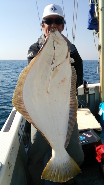 海運丸 釣果