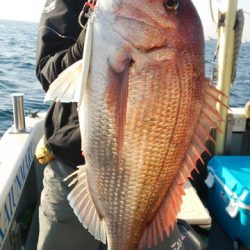 海運丸 釣果