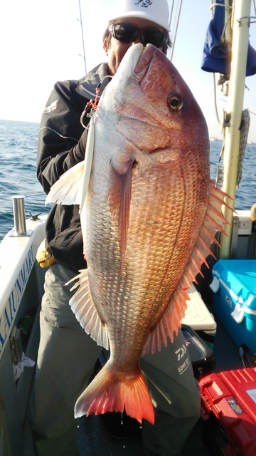 海運丸 釣果