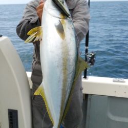 海運丸 釣果