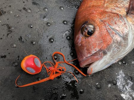 長栄丸(千葉) 釣果