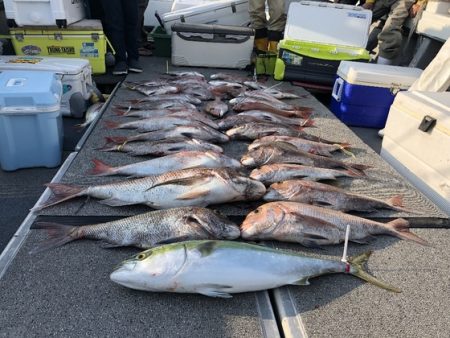 幸風（さちかぜ） 釣果