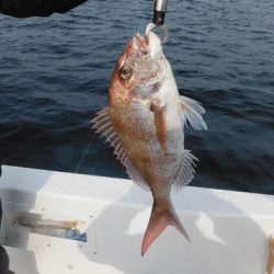 開進丸 釣果