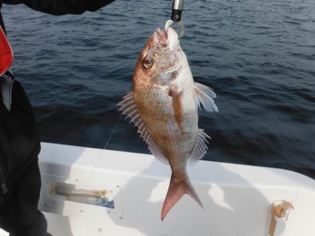 開進丸 釣果