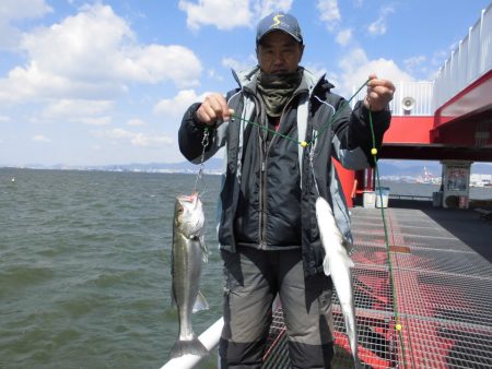 尼崎市立魚つり公園 釣果