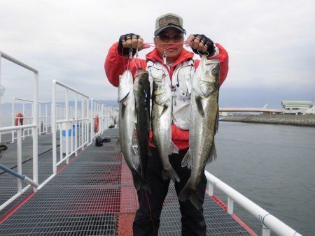 尼崎市立魚つり公園 釣果