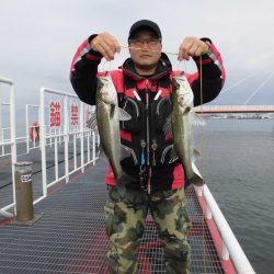 尼崎市立魚つり公園 釣果