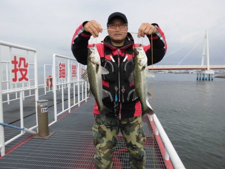 尼崎市立魚つり公園 釣果