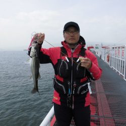 尼崎市立魚つり公園 釣果