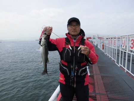 尼崎市立魚つり公園 釣果