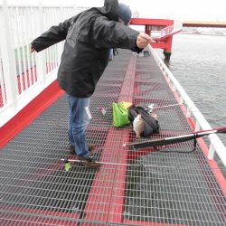 尼崎市立魚つり公園 釣果