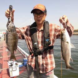 尼崎市立魚つり公園 釣果