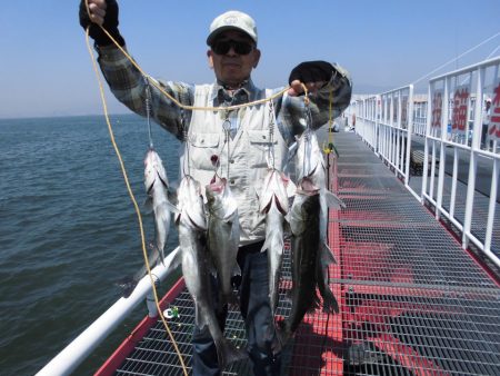 尼崎市立魚つり公園 釣果