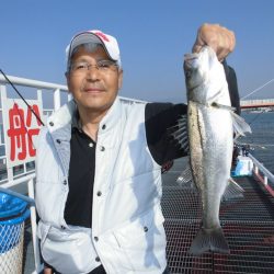 尼崎市立魚つり公園 釣果