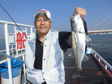 尼崎市立魚つり公園 釣果