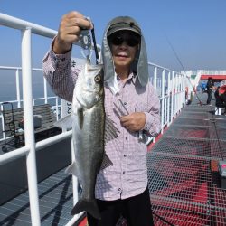 尼崎市立魚つり公園 釣果