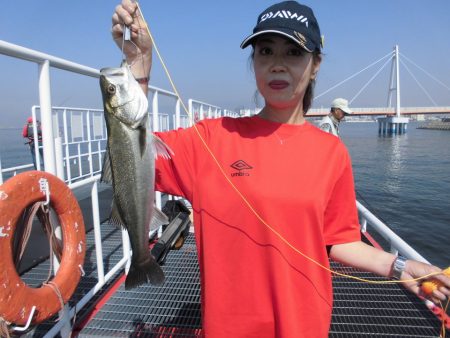 尼崎市立魚つり公園 釣果