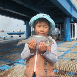 オリジナルメーカー海づり公園(市原市海づり施設) 釣果