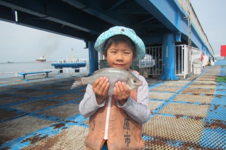 オリジナルメーカー海づり公園(市原市海づり施設) 釣果