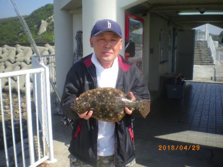 姫路市立遊魚センター 釣果