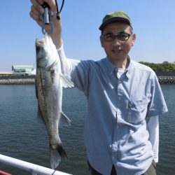 尼崎市立魚つり公園 釣果