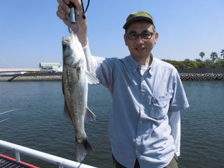 尼崎市立魚つり公園 釣果