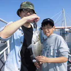 尼崎市立魚つり公園 釣果