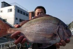 伊豆下田フィッシング 釣果