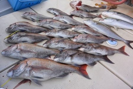 宝生丸 釣果