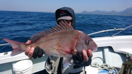 宝来丸 釣果