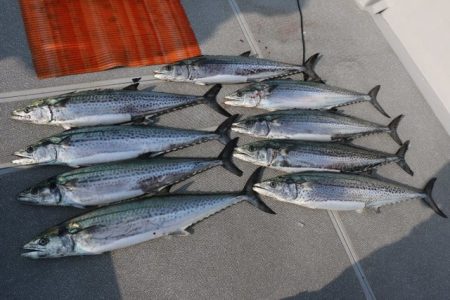 へいみつ丸 釣果