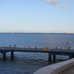 オリジナルメーカー海づり公園(市原市海づり施設) 釣果