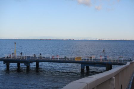 オリジナルメーカー海づり公園(市原市海づり施設) 釣果