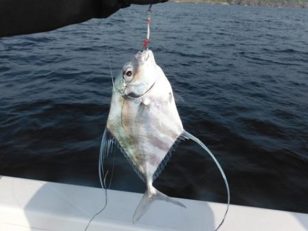 開進丸 釣果