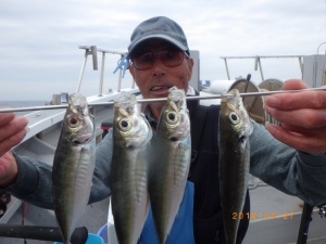 石川丸 釣果