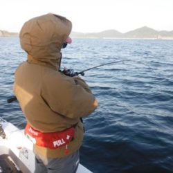 開進丸 釣果