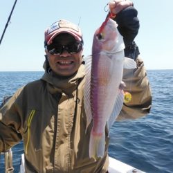 開進丸 釣果