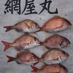 網屋丸 釣果