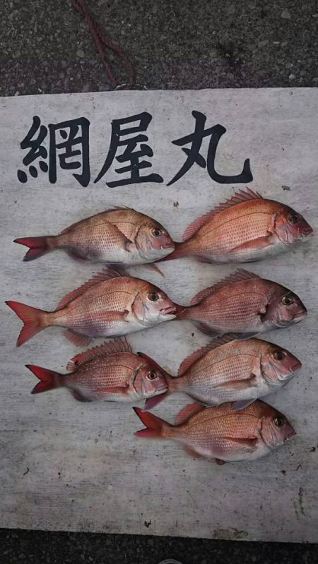 網屋丸 釣果