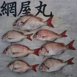 網屋丸 釣果