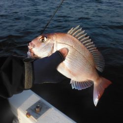 開進丸 釣果