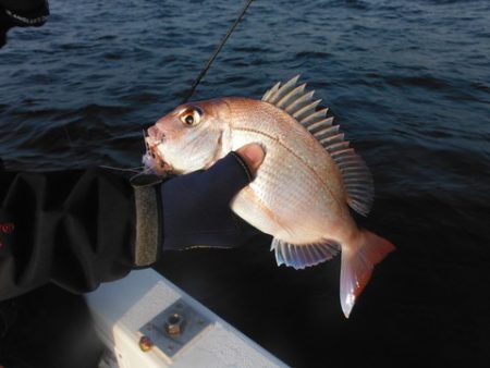 開進丸 釣果