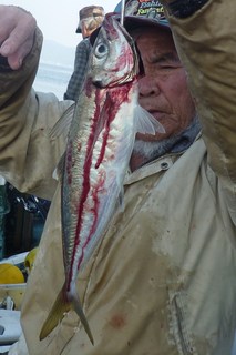 松福丸 釣果