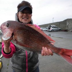 大進丸（新潟） 釣果