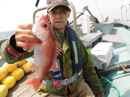 大進丸（愛知） 釣果