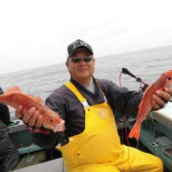 大進丸（愛知） 釣果