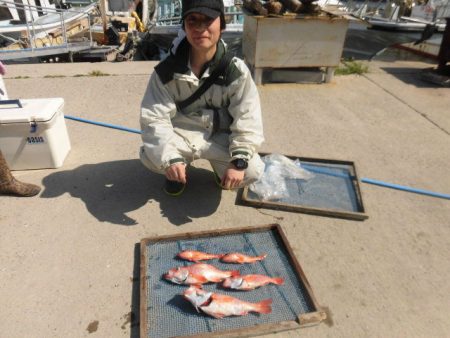 大進丸（愛知） 釣果