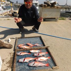 大進丸（愛知） 釣果